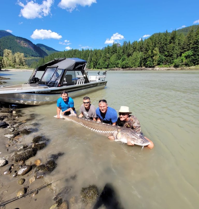 Essential Gear for Sturgeon Fishing: From Rods to Jet Boats