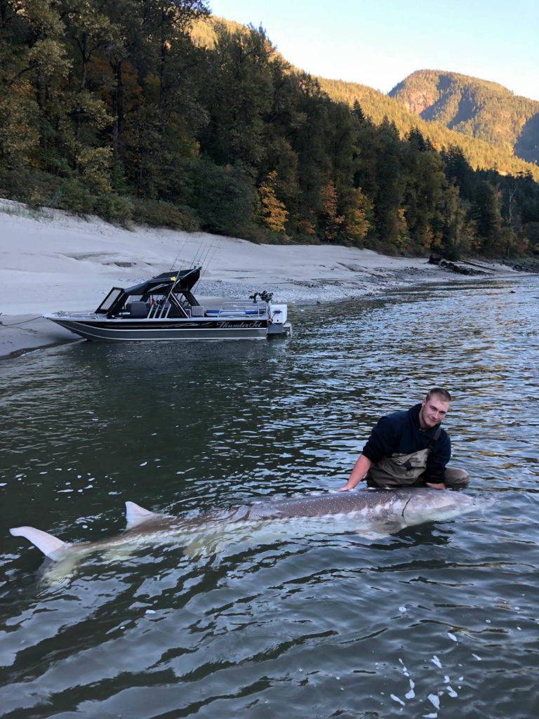 Sturgeon fishing BC