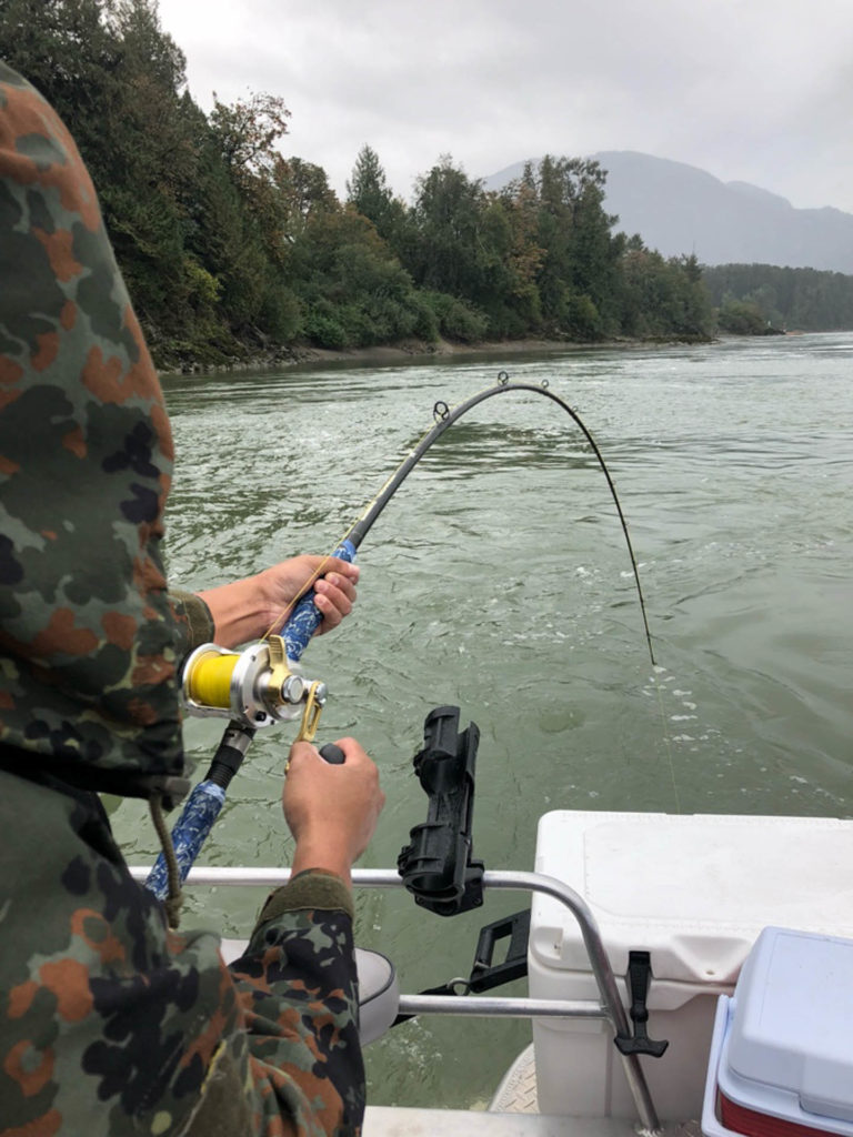 sturgeon fishing bc