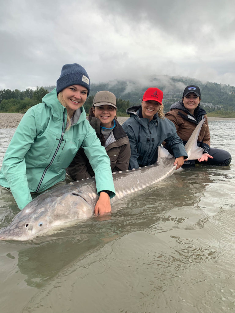 Sturgeon fishing BC