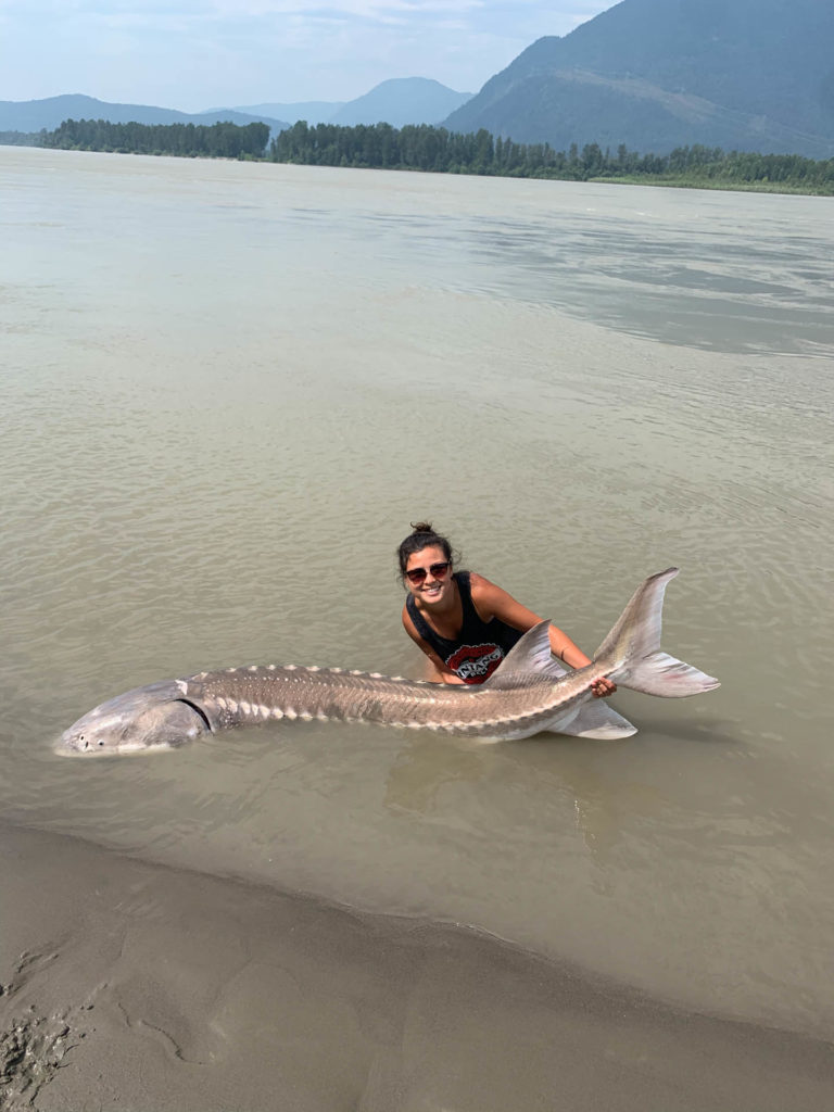 Vancouver Giant sturgeon