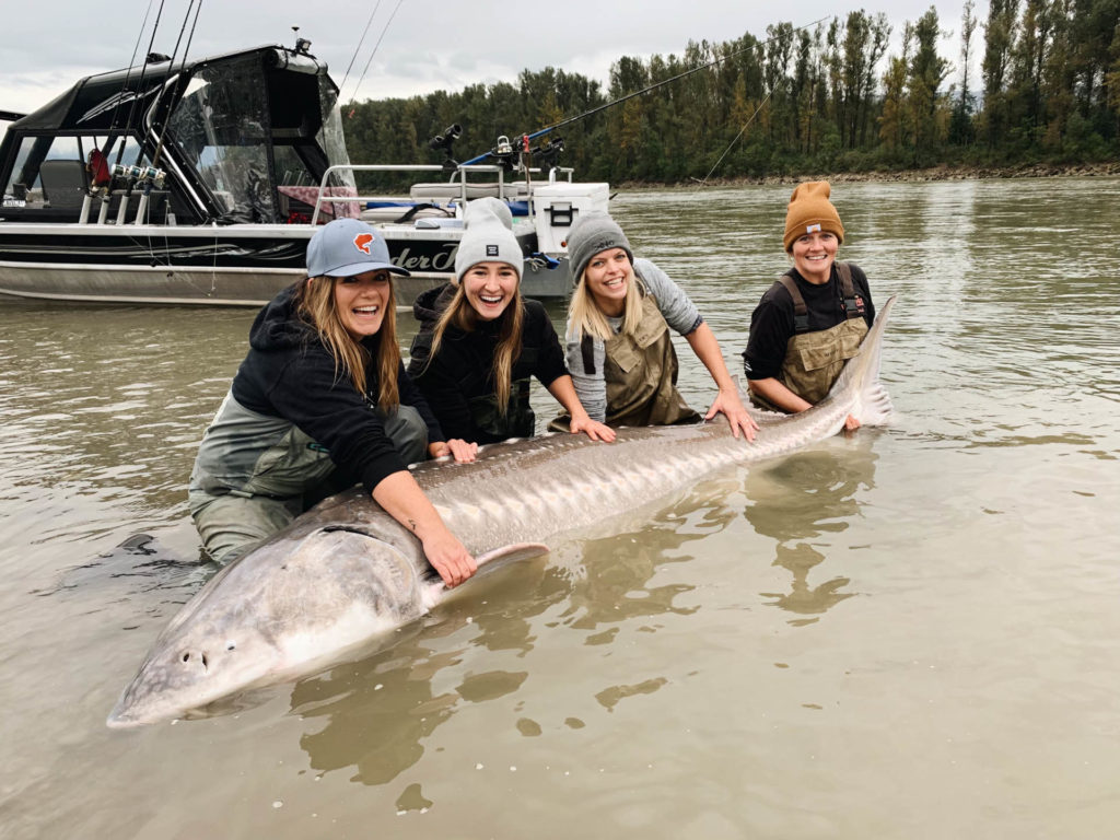 Fraser River white sturgeon