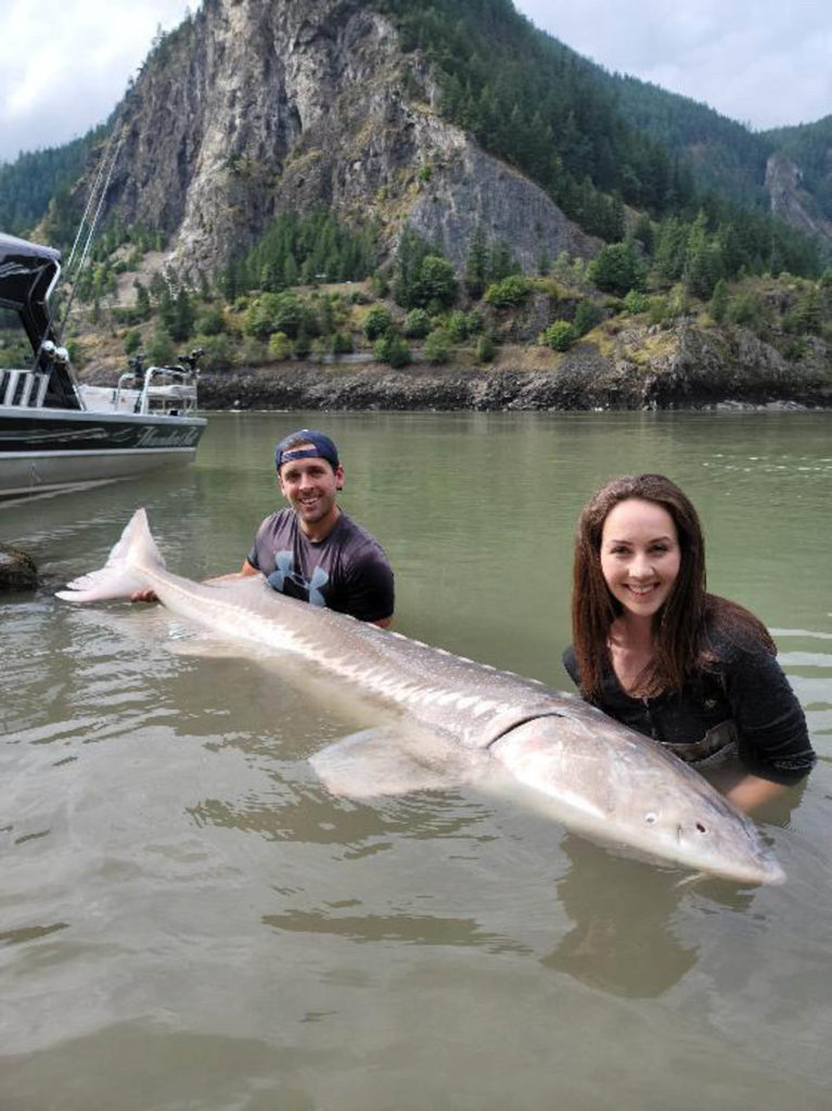 sturgeon fishing vancouver