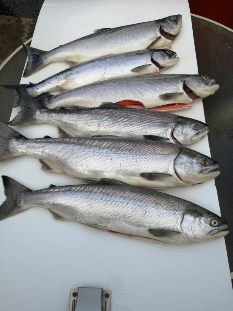 Vancouver fishing report